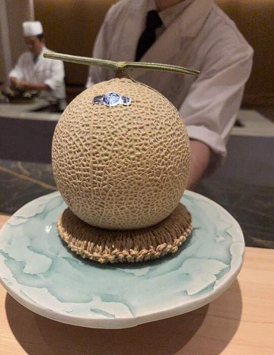 19253234-719A-487A-8B02-57D8D18F89ED_1_105_c