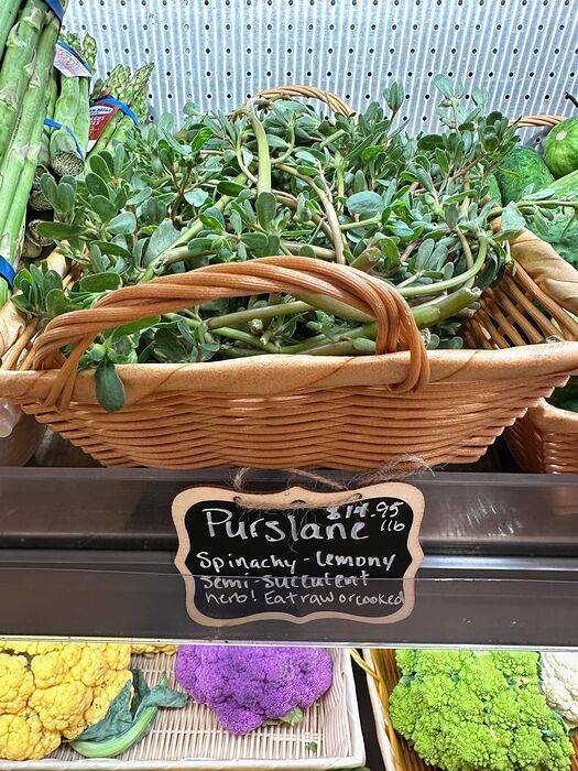 purslane
