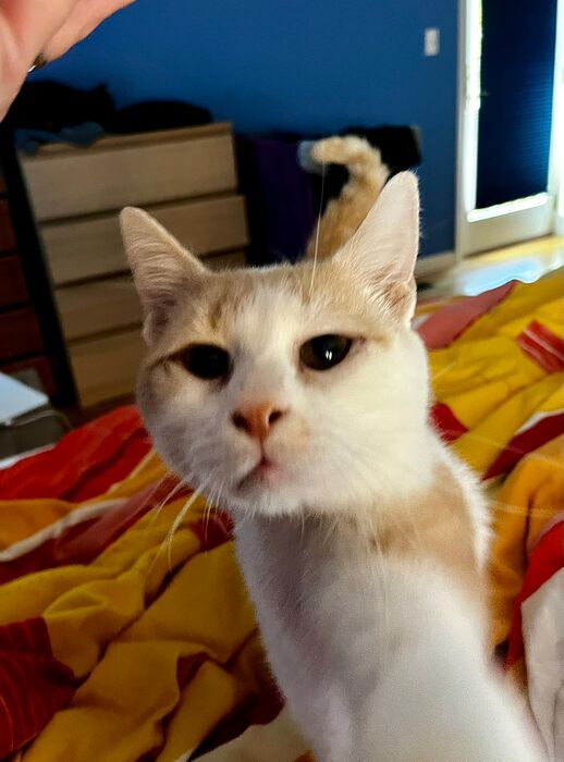 B9919E59-DBE1-4882-AFB7-8D1B42C5E09A_1_102_a