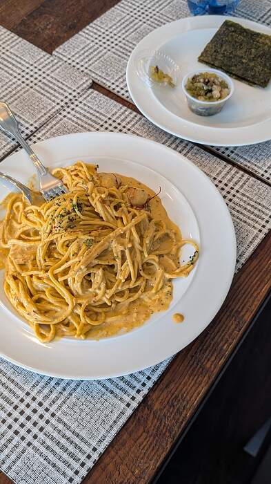 PXL_20260219_211726525.PORTRAIT