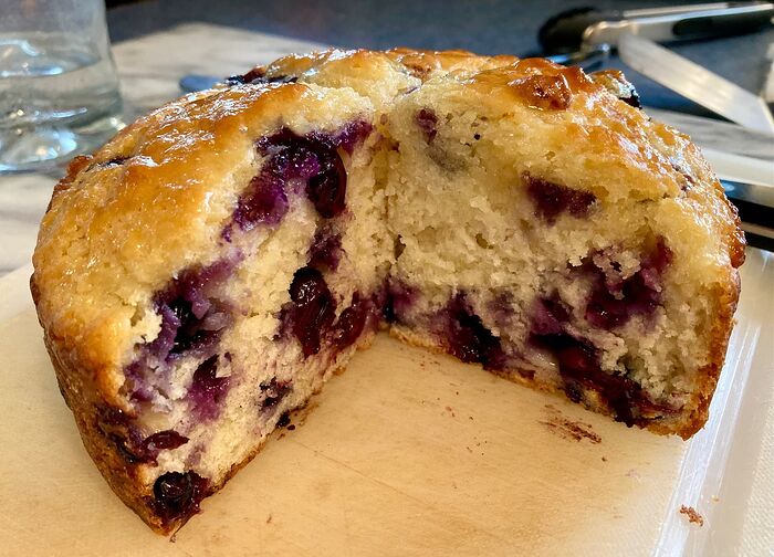 Blueberry Pan Biscuit Crumb