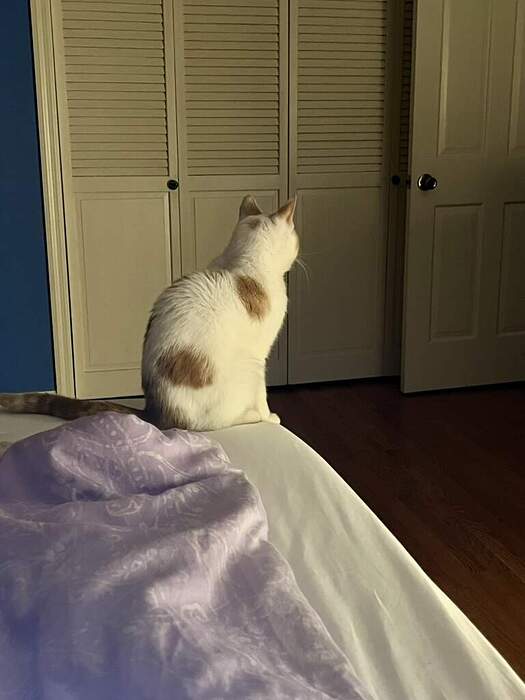 8F891BE1-DDD1-49C0-B850-8DED2ADAFA9C_1_105_c