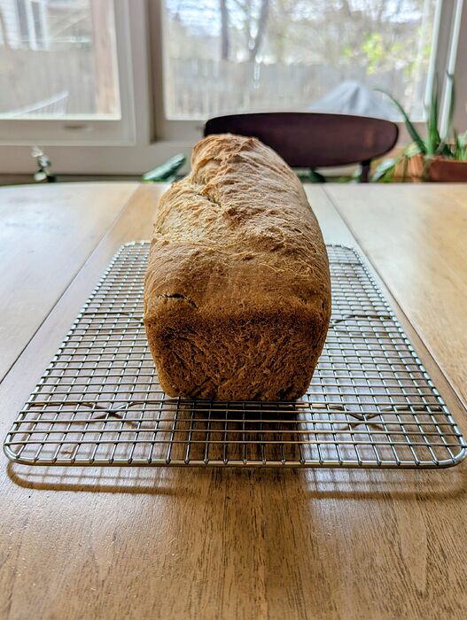 PXL_20260222_184100281.MP~2