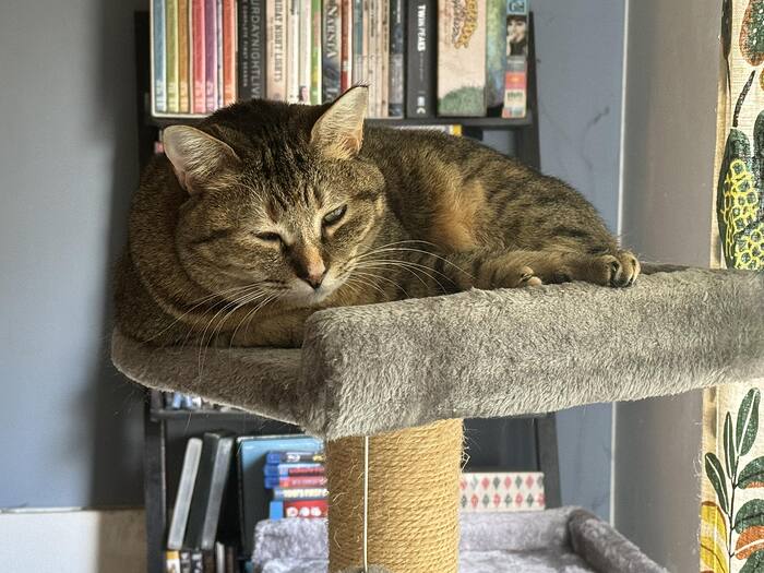 590147872_10173047141780082_296739658286604267_n