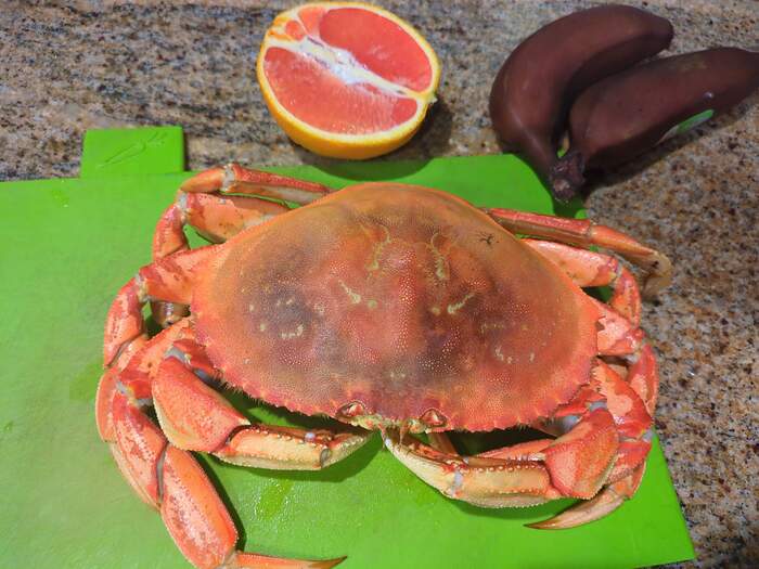 17683467493465590421683802765585