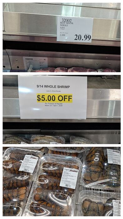 20260401_205347-COLLAGE