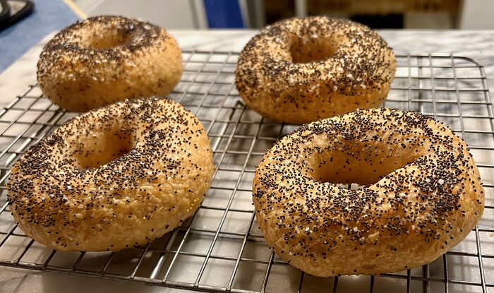 Onion Bagels