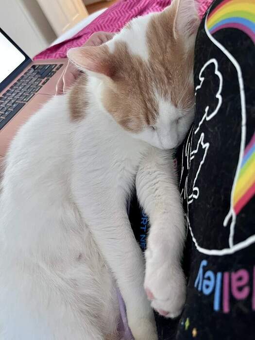 EB3A23E9-5134-4077-8B6C-AD7F0BB546E1_1_105_c