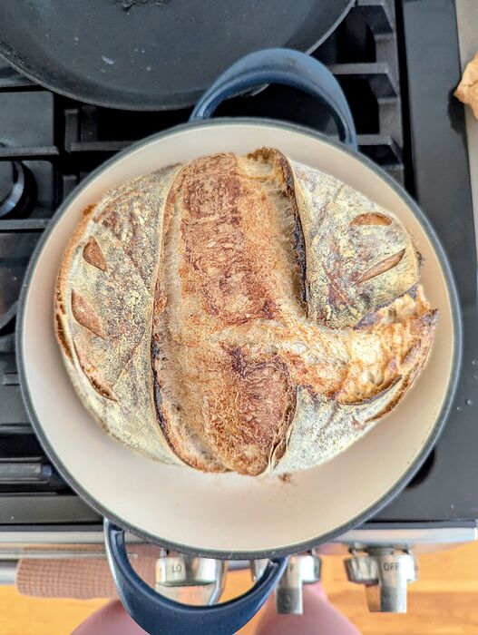 PXL_20260120_153107831.MP~2