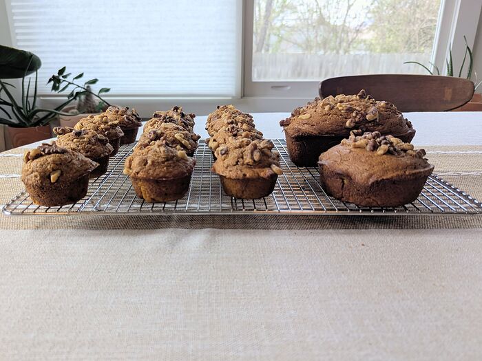 PXL_20260317_175444174.MP~2