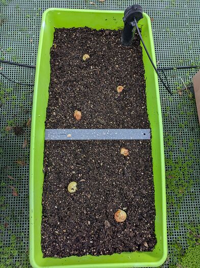 PXL_20251111_221236262