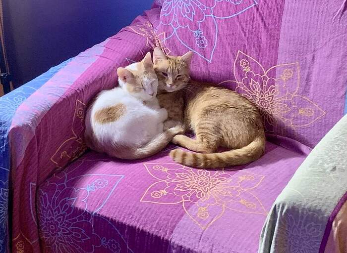 62E6FE76-D38B-4AD7-8EB7-9D9168BE8E0E_1_105_c