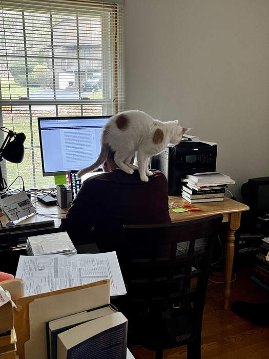 A912F68B-0193-44D8-AEA8-E232588F7B96_1_201_a