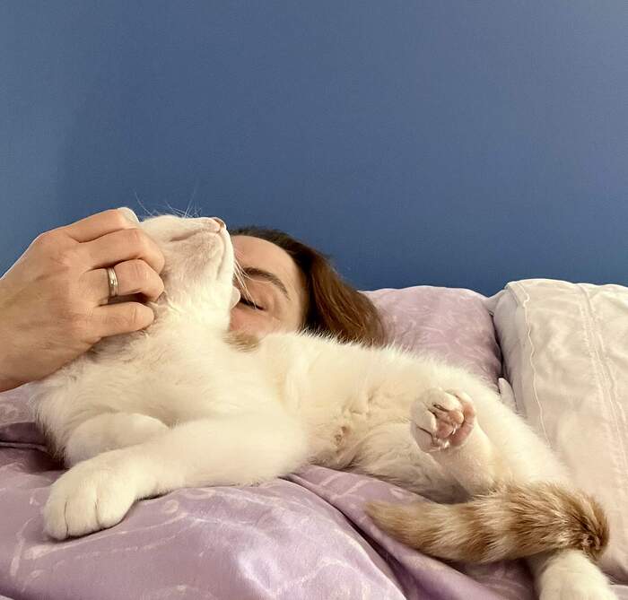 4F47E761-F011-4AD9-AA77-1B62E60E6E9D_1_102_a