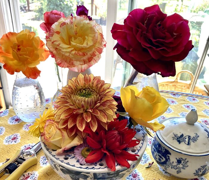 Roses and Dahlias
