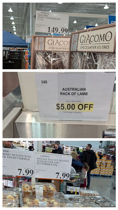 20260221_165653-COLLAGE