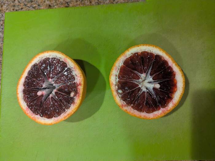 PXL_20260301_001300103