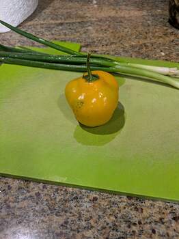 PXL_20260309_045105683