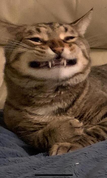 17649834804846175718463414661959