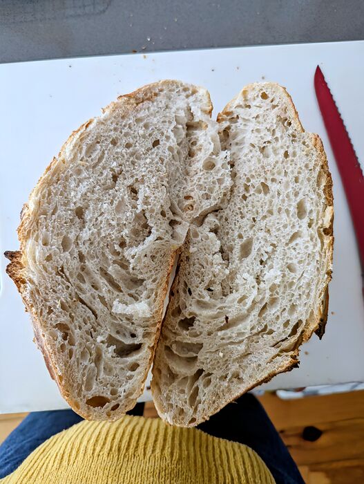 PXL_20260203_194704206.MP~2