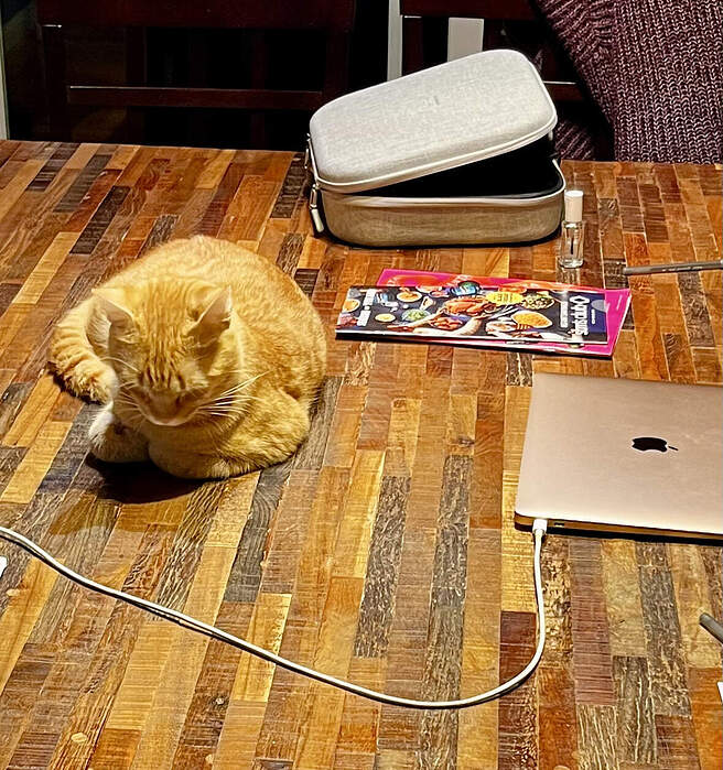 3956AB46-3D75-4C52-9397-4F123DD7D362_1_201_a