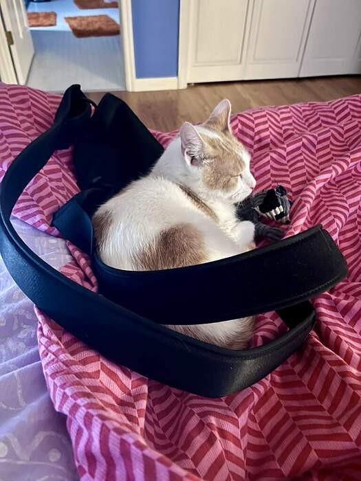 0A78097B-33F9-471C-815D-ACF289E9BB13_1_105_c