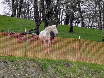 PXL_20251226_202417036