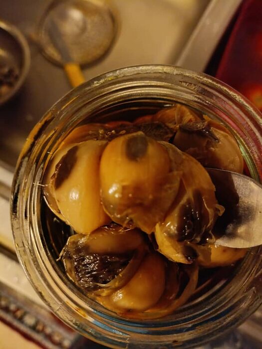 WhatsApp Image 2025-10-06 at 6.40.04 PM