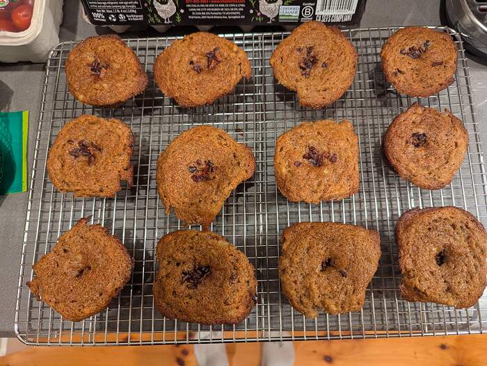 PXL_20260106_230450270.MP