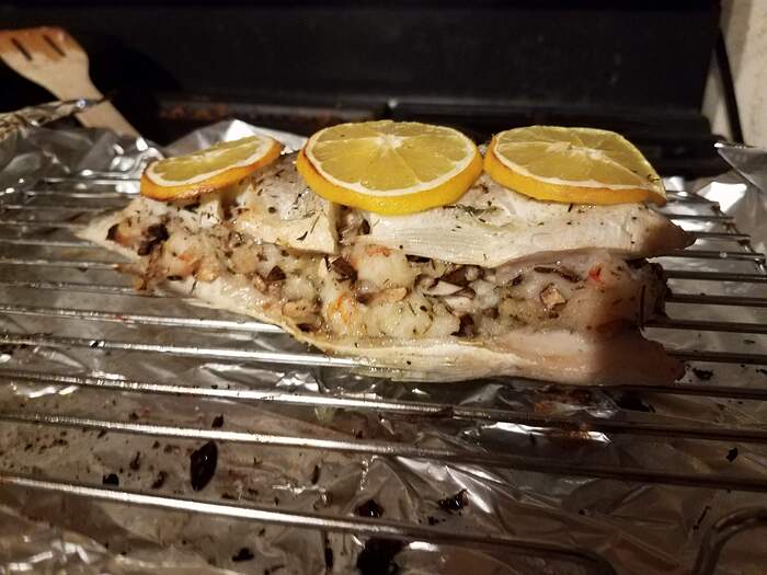 DoradeOven20260205_193158