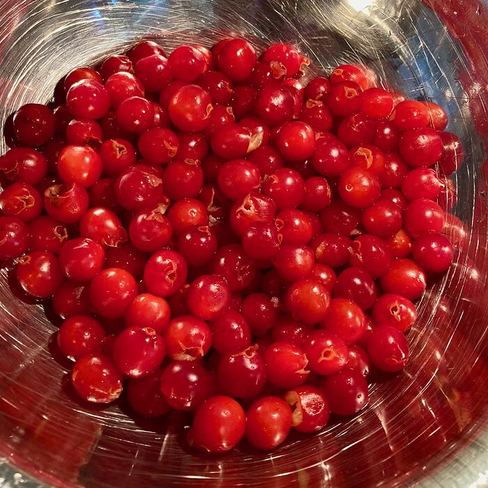 Montmorency Cherries