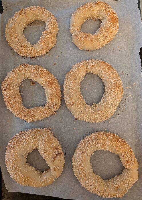 PXL_20260306_154240103~2