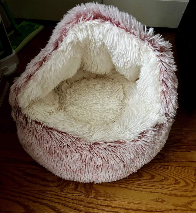 A02C5A8C-C9FE-4D0A-8B46-F3DDE6438375_1_201_a