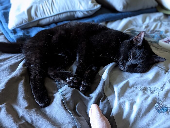 PXL_20251005_154218087.PORTRAIT