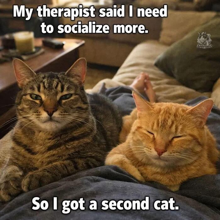 639725246_122179153118588290_2739316693004008091_n