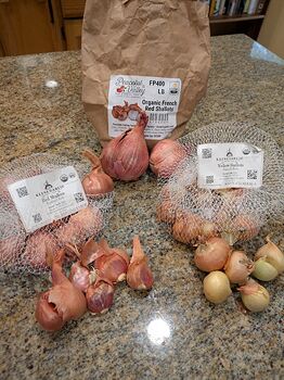 PXL_20251111_214821310