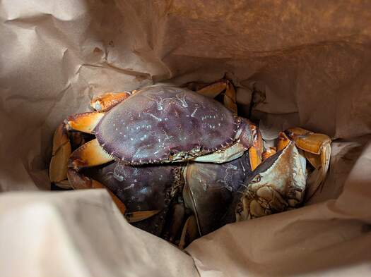 PXL_20260202_224014446