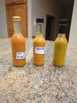 17646292439576023520065690182021