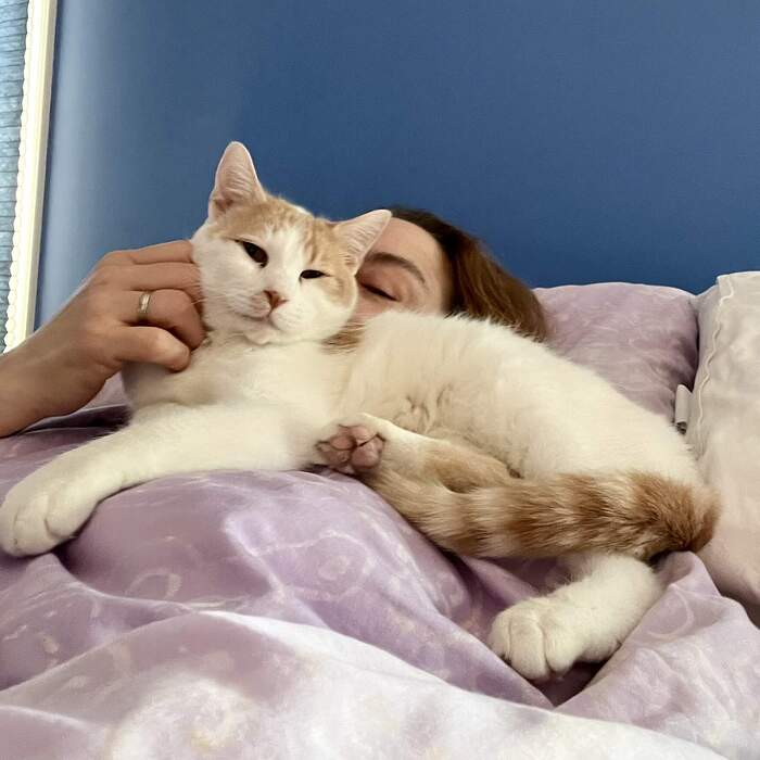 822218F6-BCBC-4FE3-8E44-4721EF4CE094_1_102_a