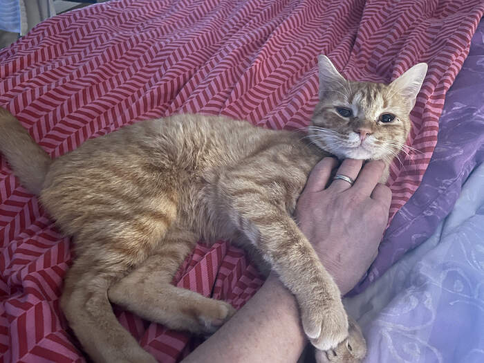 C4C8C4CB-8FF4-4E4D-BBC5-EDA9EA0A6D7C