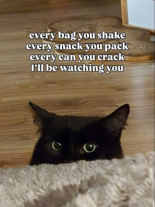 Screenshot 2025-12-23 at 15-29-47 Instagram