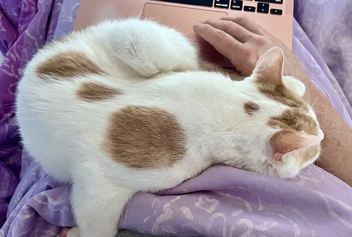 3AEA6950-1135-40C5-A2E9-7415094659E3_1_105_c