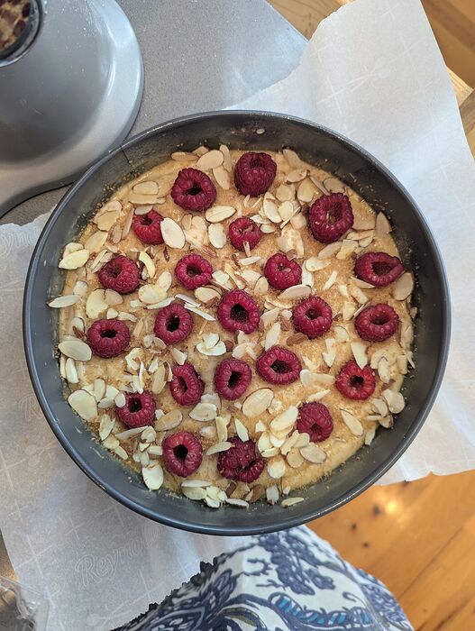 PXL_20260126_192552986.MP~2