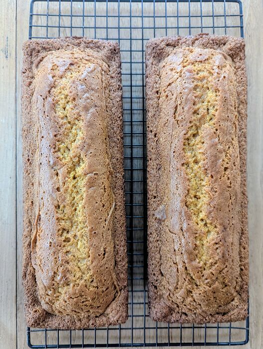 PXL_20251029_190232466.MP~2