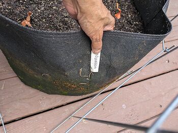 PXL_20251111_215448687