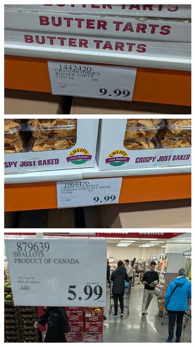 20251025_211613-COLLAGE