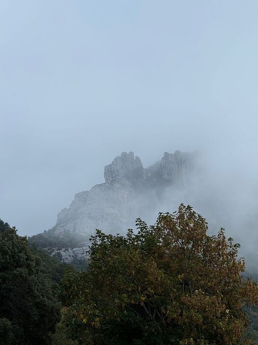 IMG_9990