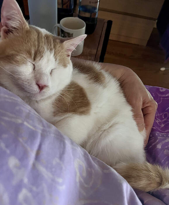 20BB123B-49DD-4B77-A625-433185A57B59_1_201_a