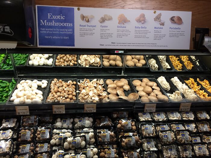 Wegman_shrooms