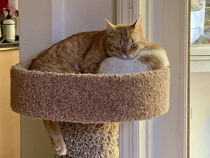 17AA33AA-CB0A-485A-B419-27BF1292DACD_1_105_c